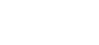 LOGIPLEX_LOGO_4 WHITE LOGO